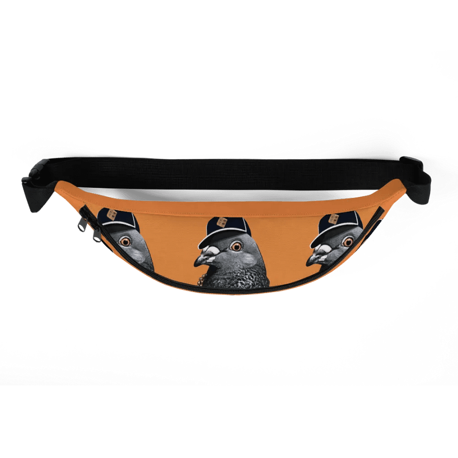 BIGGY Fanny Pack product image (5)