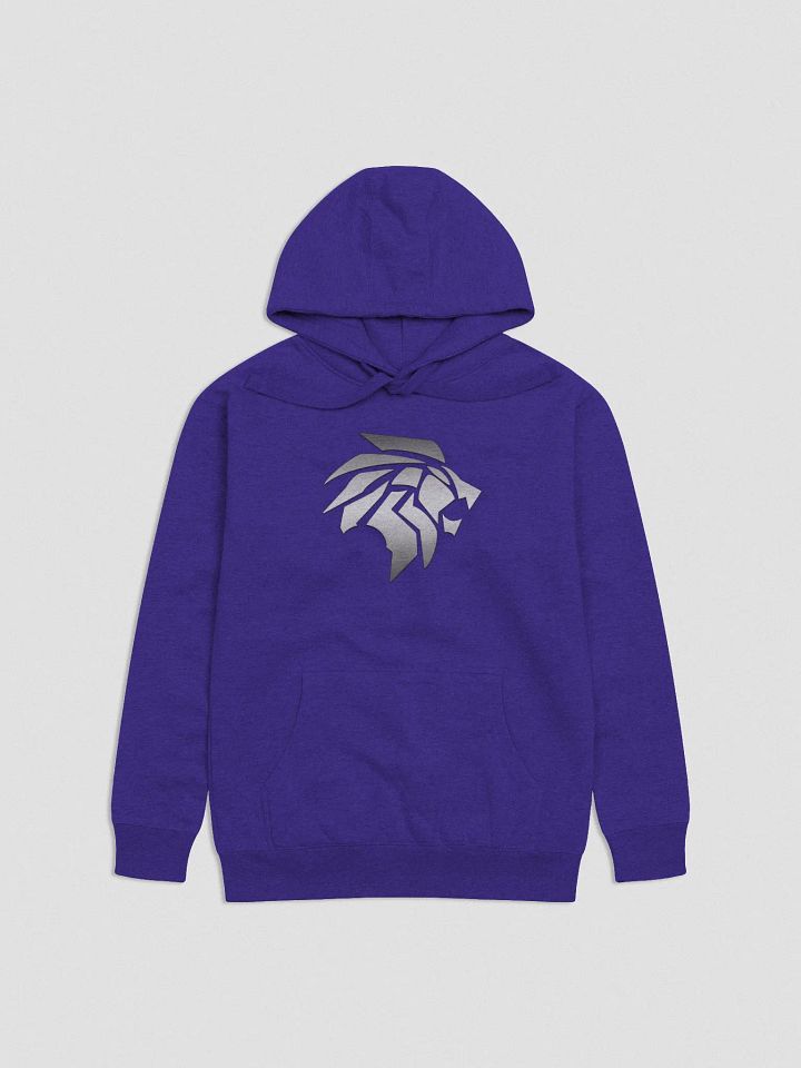 Big Logo Premium Hoodie - Unisex product image (5)
