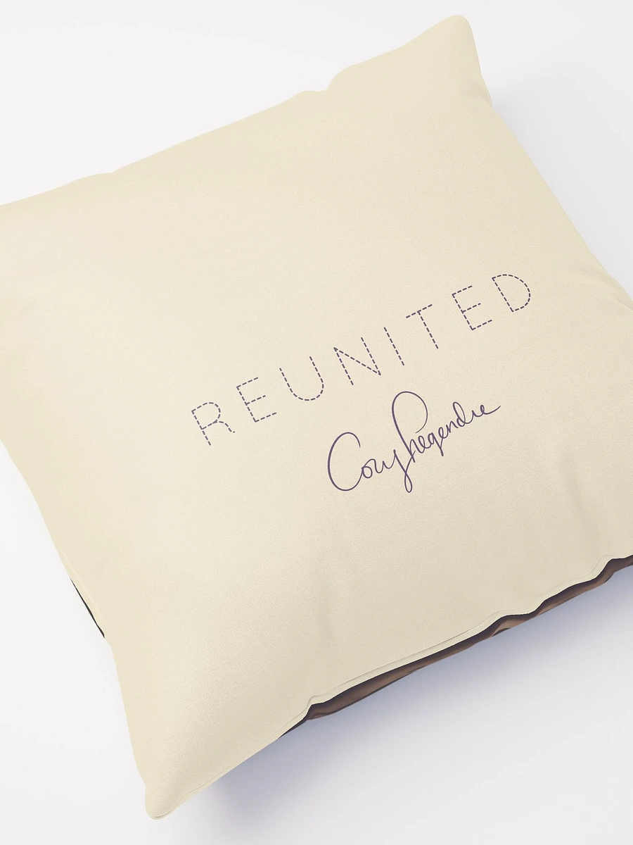 REUNITED: The Bridge Pillow product image (7)