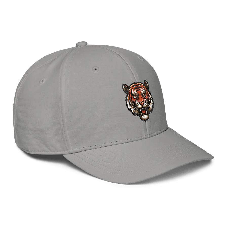 Wichita Wild Adidas Performance Hat product image (22)