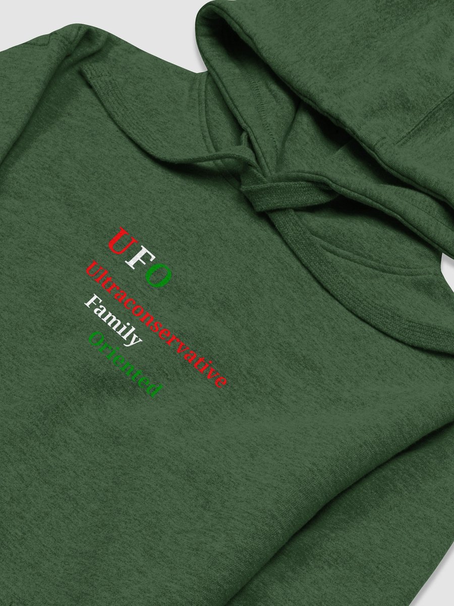 UFO Ultraconservative Family Oriented Hoodie product image (3)