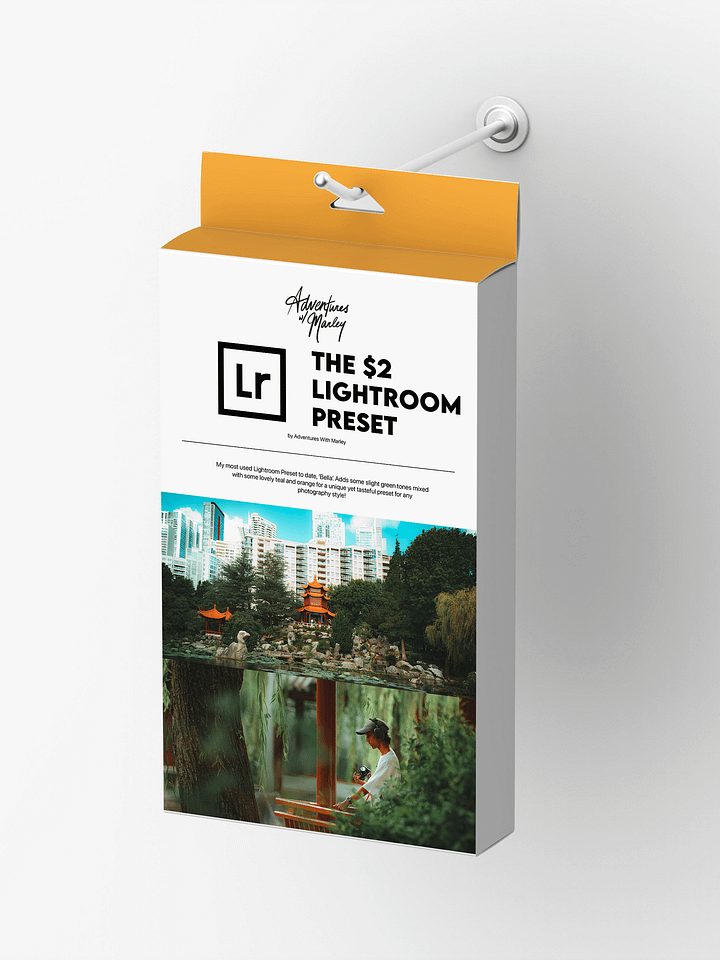 The $2 Lightroom Preset product image (1)