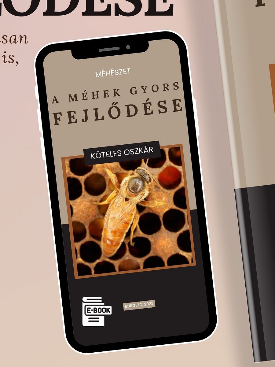 Hangoskönyv - Méhészet - A Méhek gyors Fejlődése product image (2)