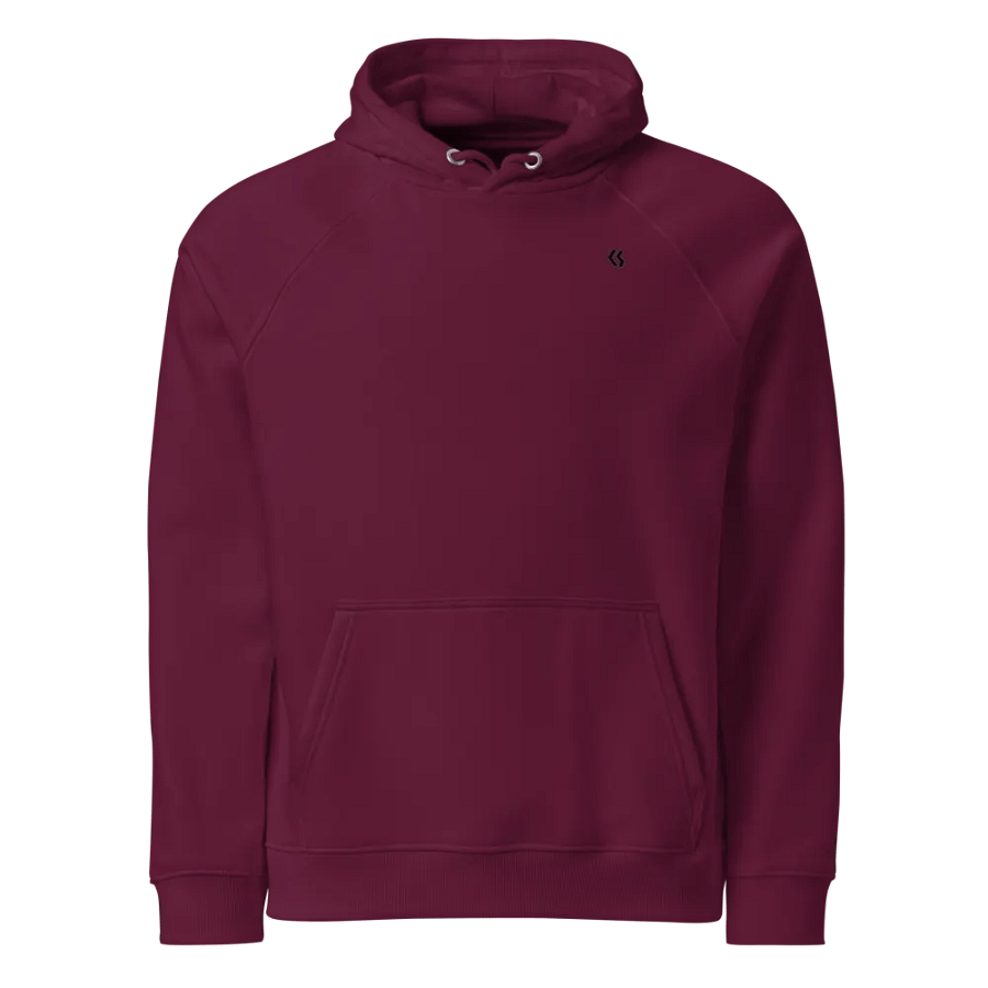 CS Hoodie product image (1)