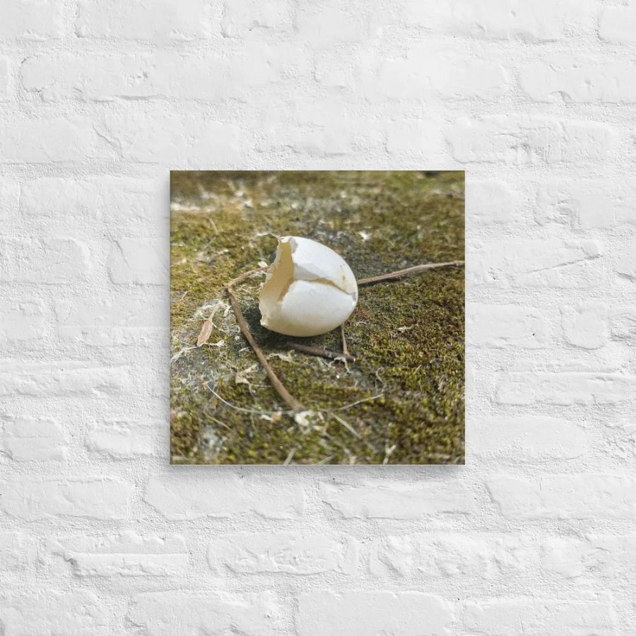 Hatched Egg 16