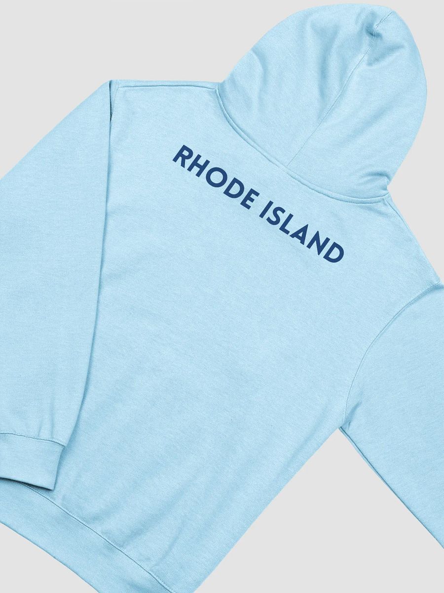 The Rhode Island Pineapple Story II (Heavyweight Fabric) product image (24)