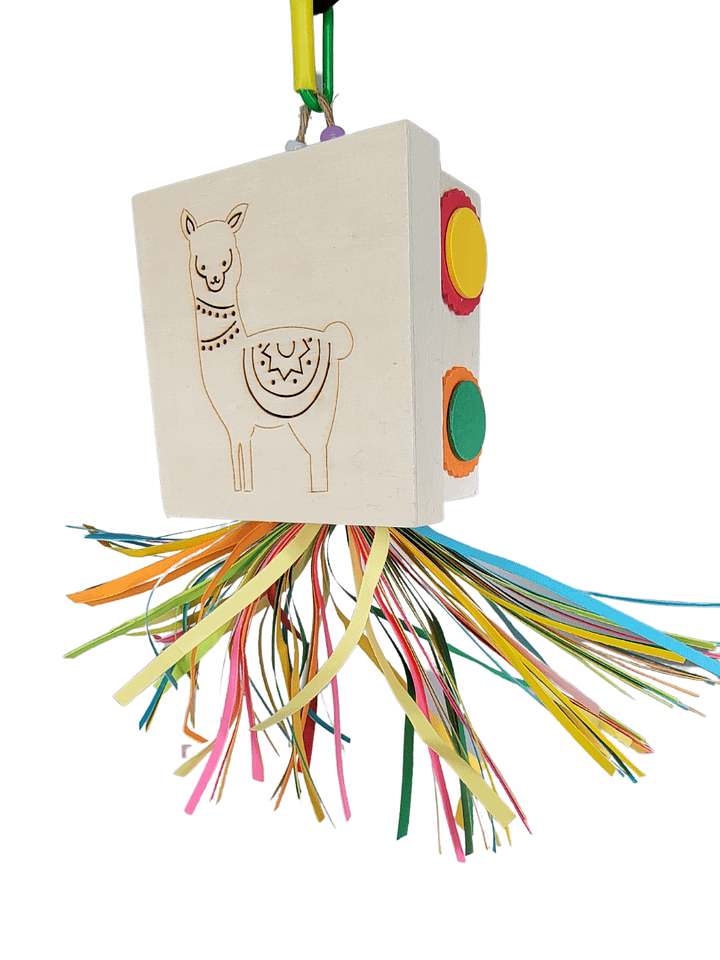 BOXED product image (1)