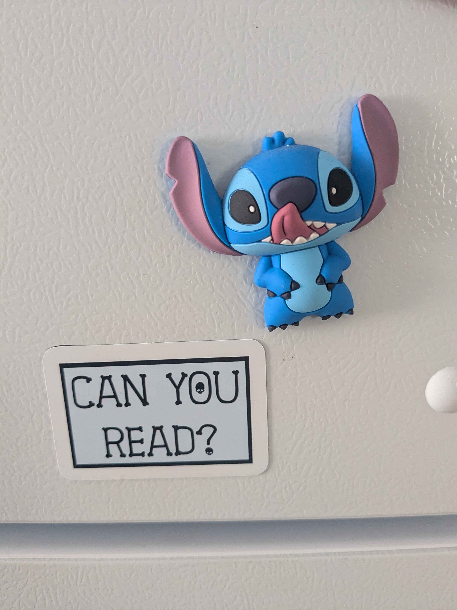 Can You Read Magnet product image (2)