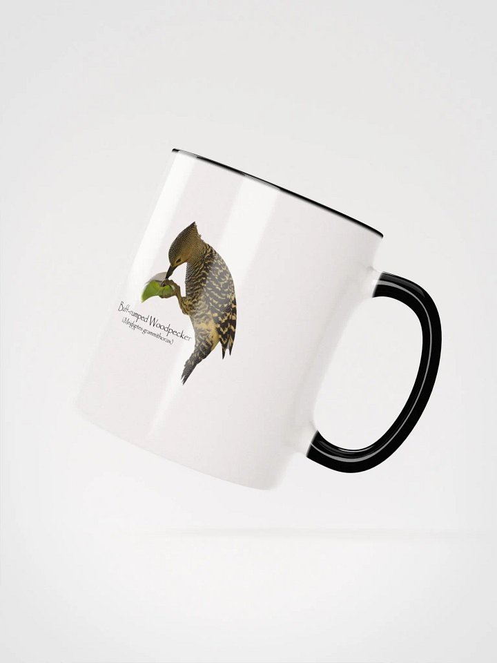 Buff-rumped Woodpecker mug product image (17)