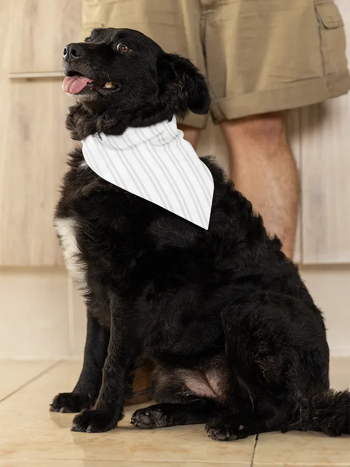 Junction Stripe Bandana product image (1)