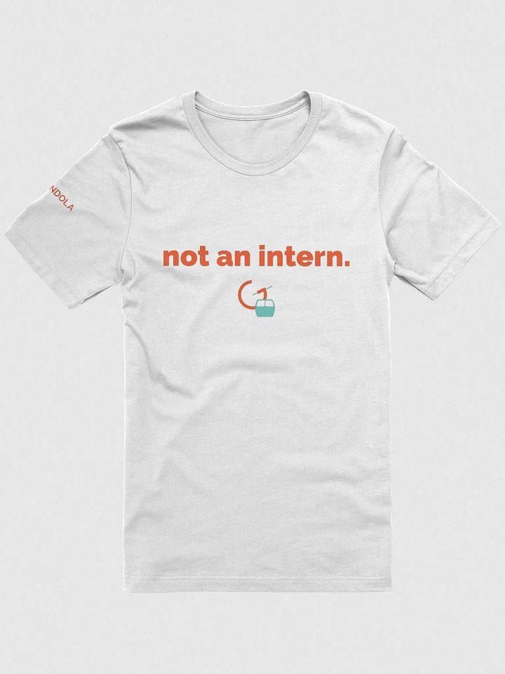 not an intern product image (1)