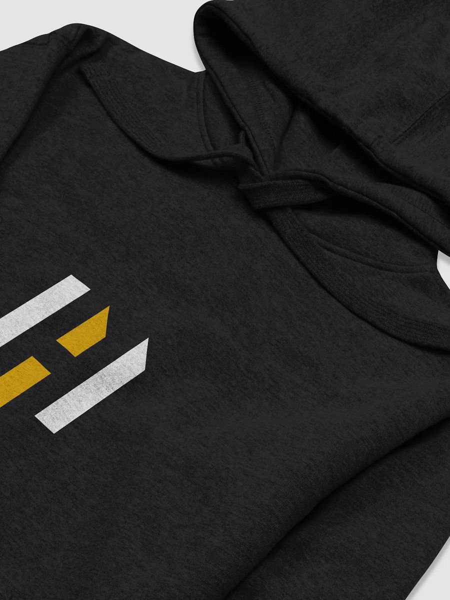 HFG HOODIE product image (3)