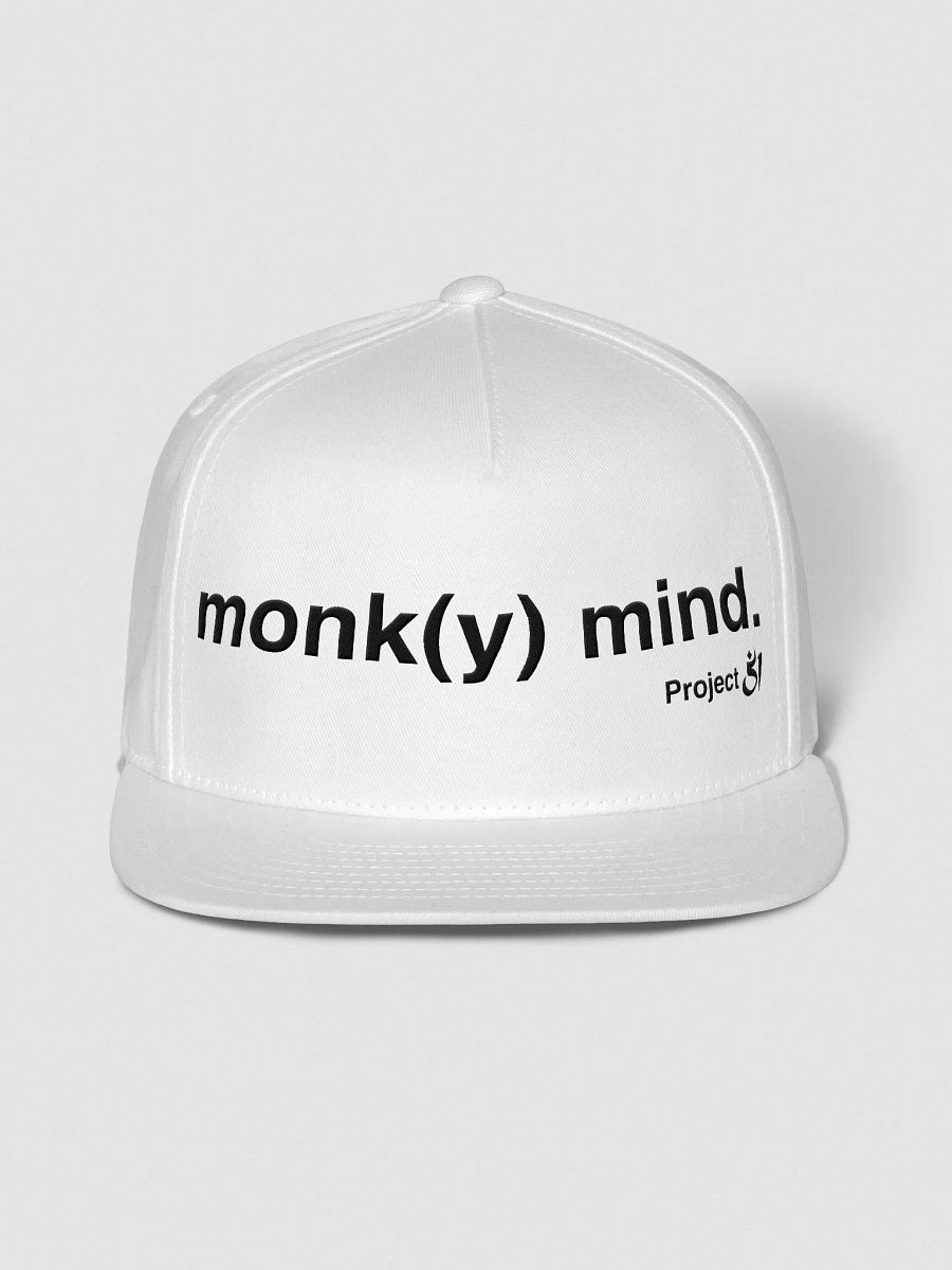 monk(y) mind. snapback product image (1)