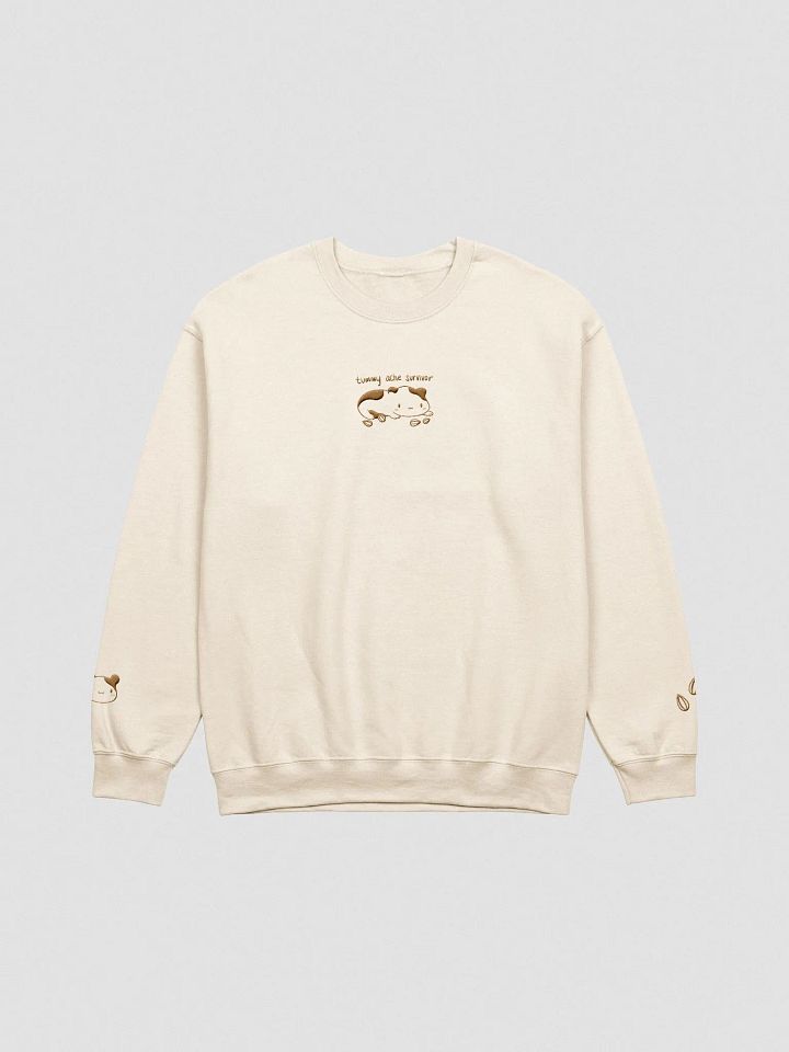 Tummy Ache Survivor Sweatshirt product image (1)
