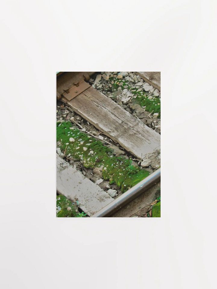 Mossy Railroad product image (10)