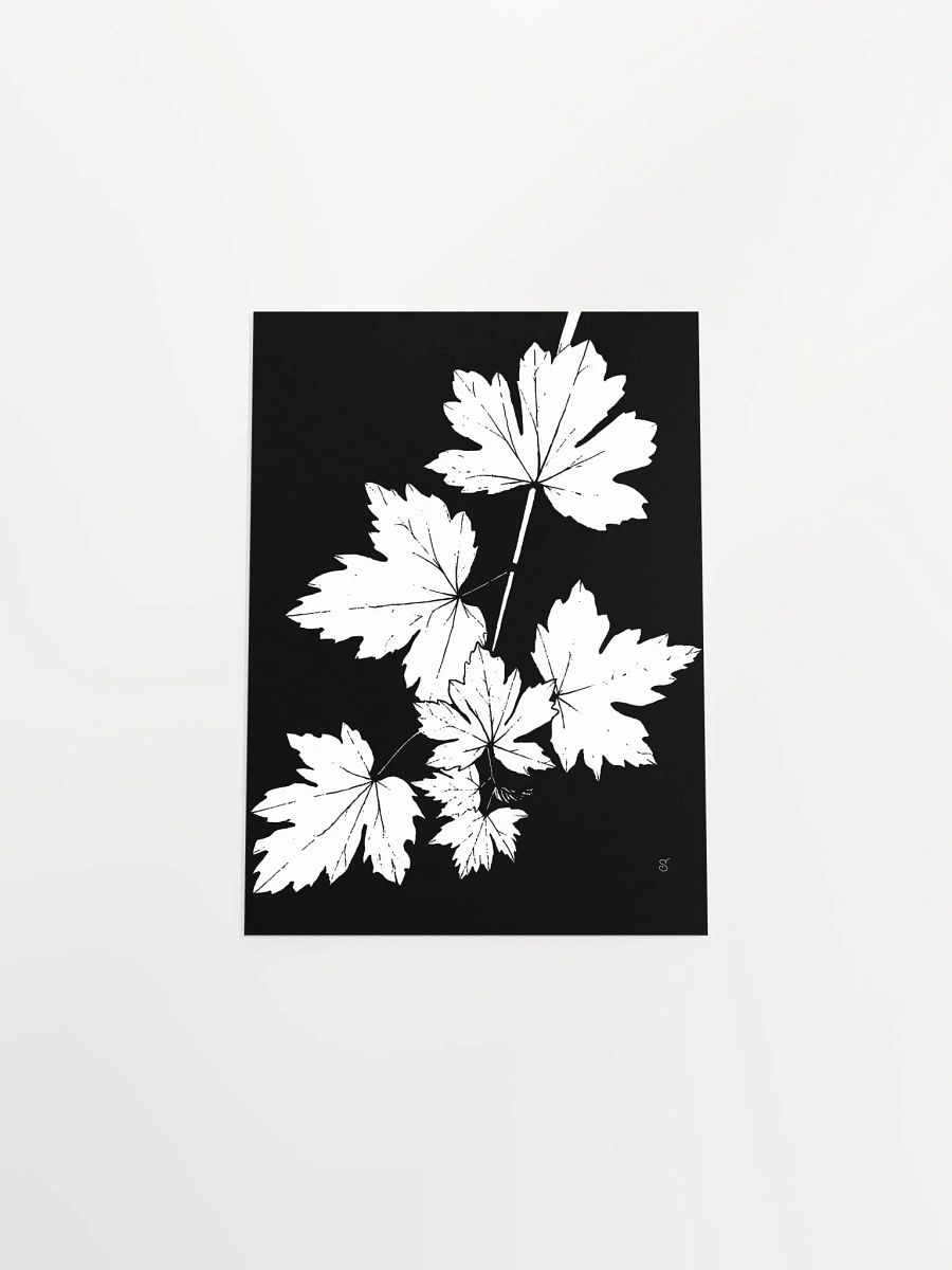 Jagged Leaves Silhouette Poster - Grape Leaves Dark product image (4)