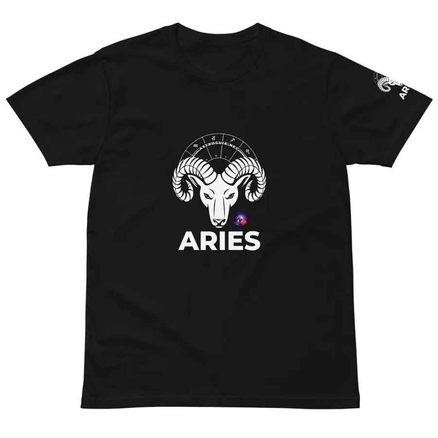 ARIES T-Shirt product image (2)