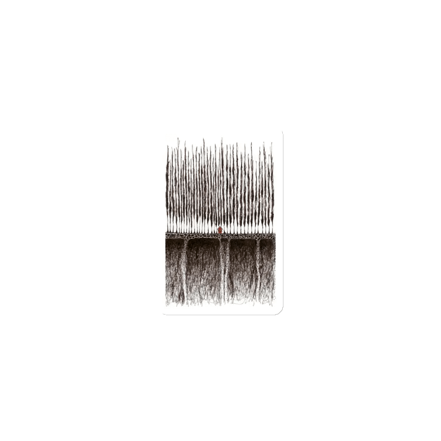 Magnet - 2023 Sketch 47 product image (1)