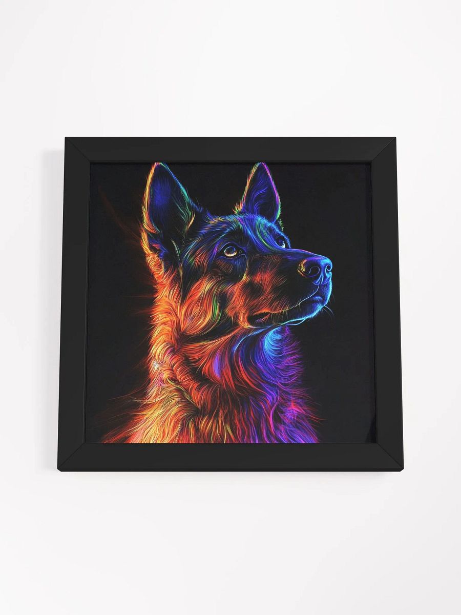 Belgický ovčák Malinois, neonový product image (46)