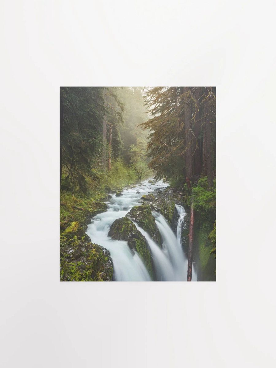 "Enchanted Forest" - 8x10 Matte Print product image (2)
