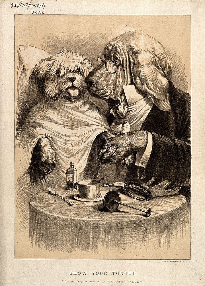 Vintage Art Download - WJ Allen, A Doctor Examining His Patient Bloodhound with Terrier, Lithograph product image (1)