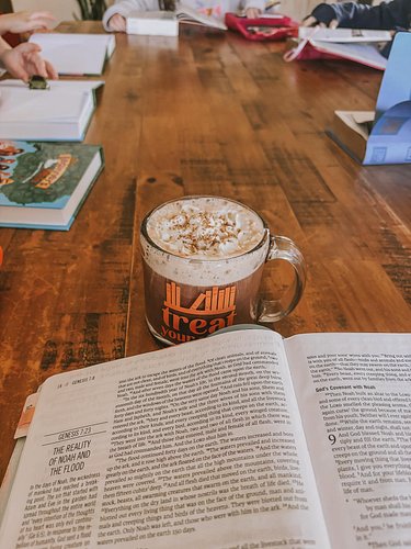 Just another day in our homeschool 🩷