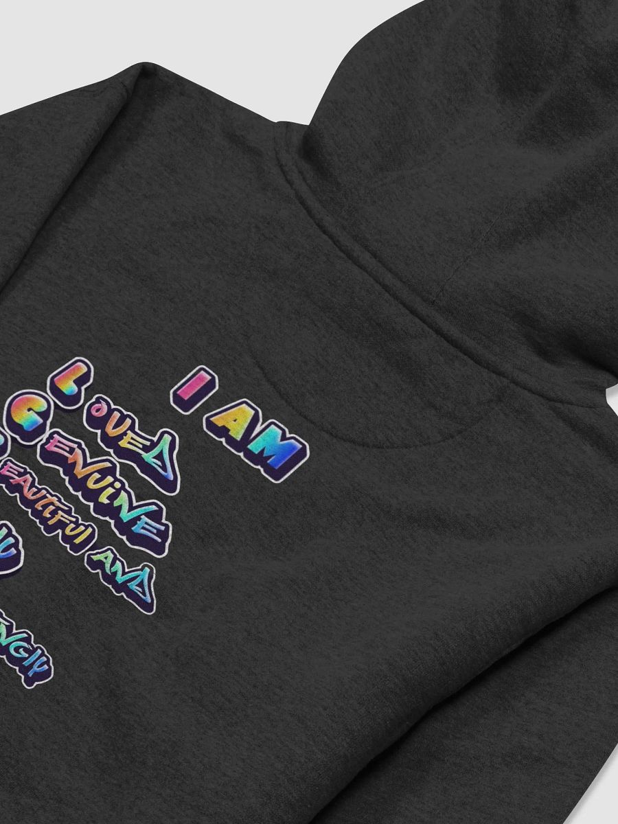 BAA-Rilliant Pride Hoodie! product image (4)