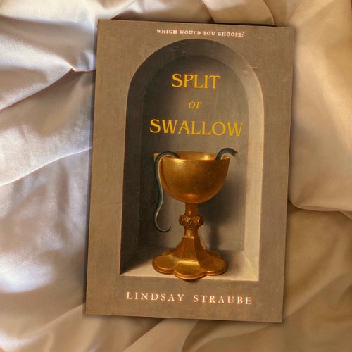 Split or Swallow:
Read it. Read it. Read it. It has been so long since I have had FUN with a book and enjoyed it the way I di...
