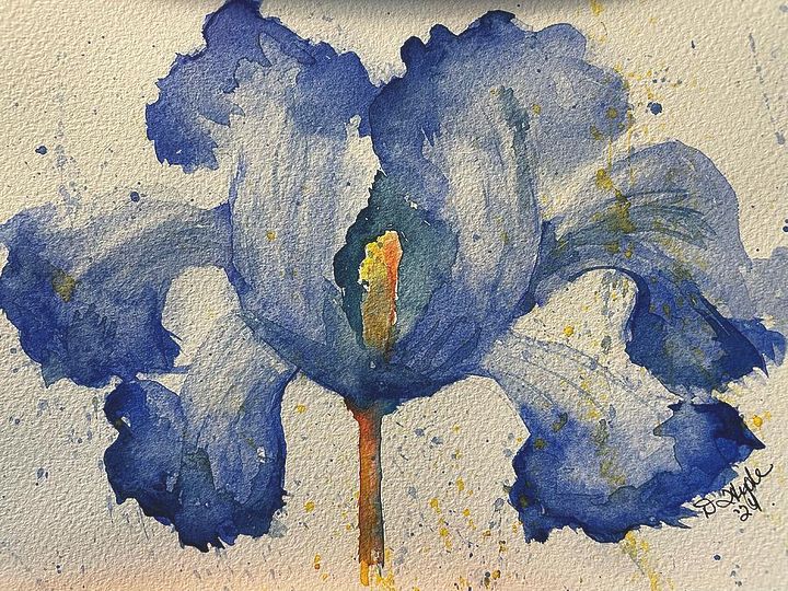 Bearded Iris (Original) product image (1)
