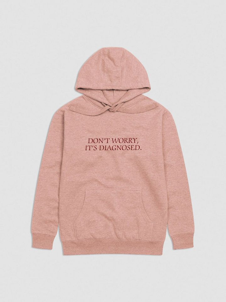 DW, IT'S DIAGNOSED. (maroon) embroidered heavyweight hoodie product image (1)
