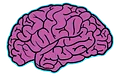 Braingap