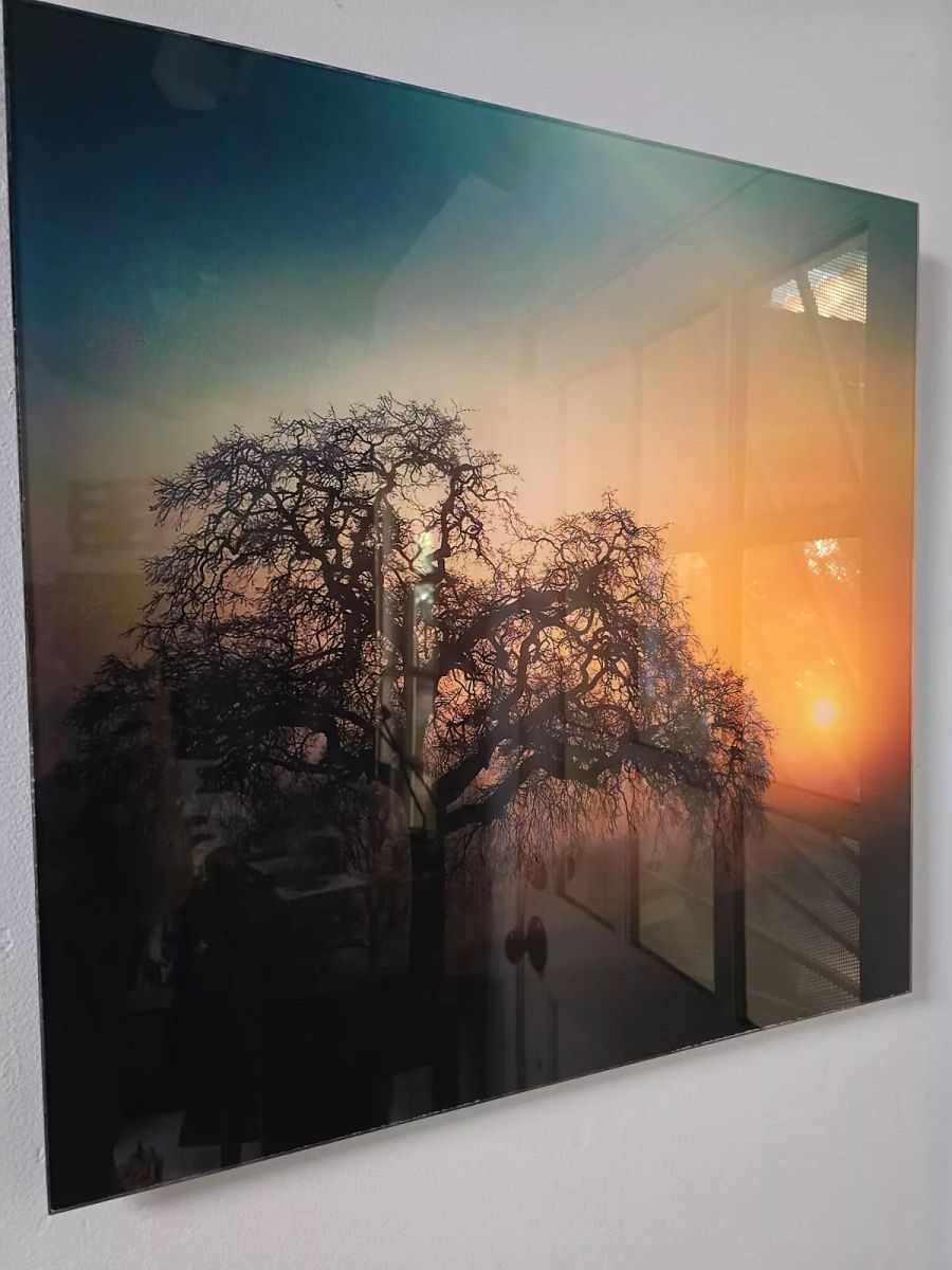 Foggy Oak Giclee Photograph archival ink print on 1/4" Acrylic-Allison McFarland product image (2)