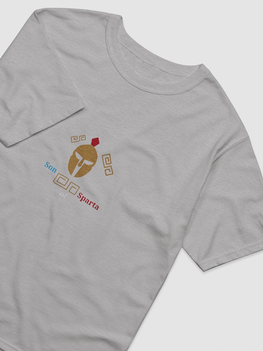 Spartan Legacy Relaxed-Fit Tee product image (4)