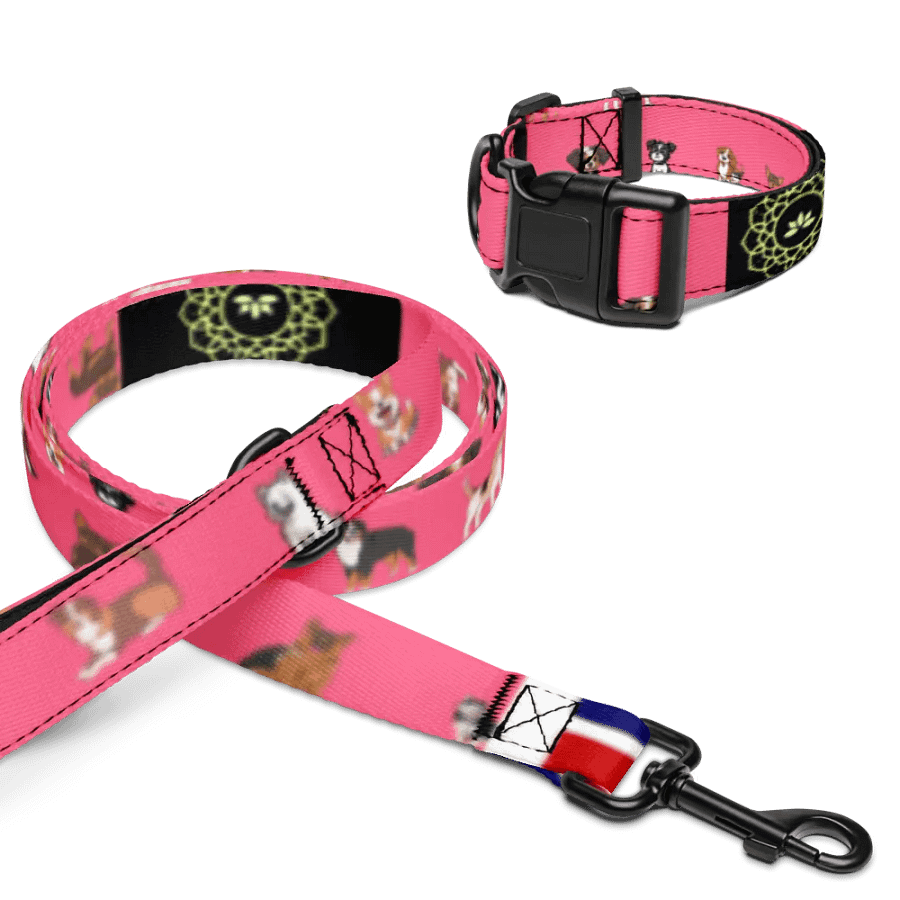 Pink Perfection Pet Set product image (16)