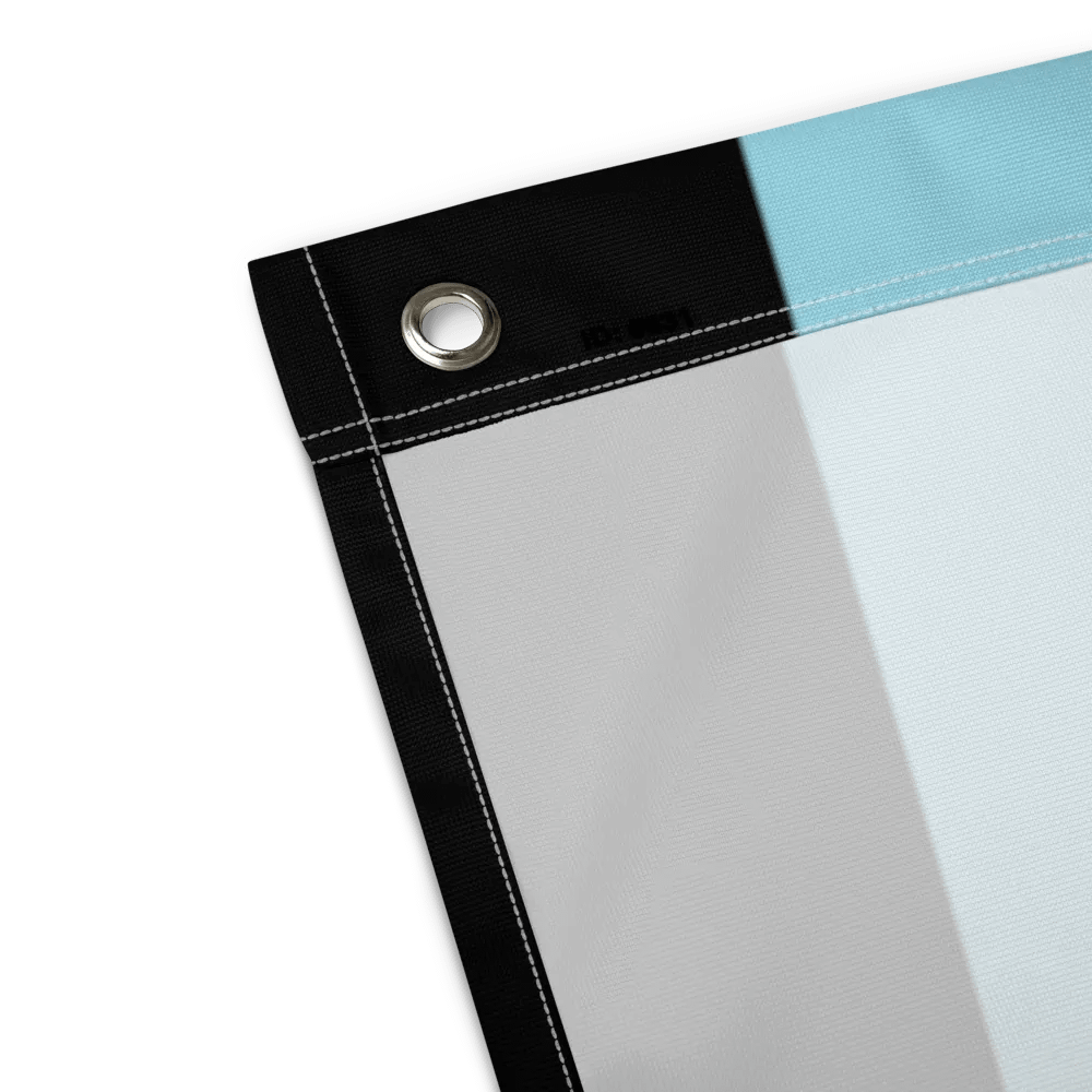 Queer Pride Flag product image (4)