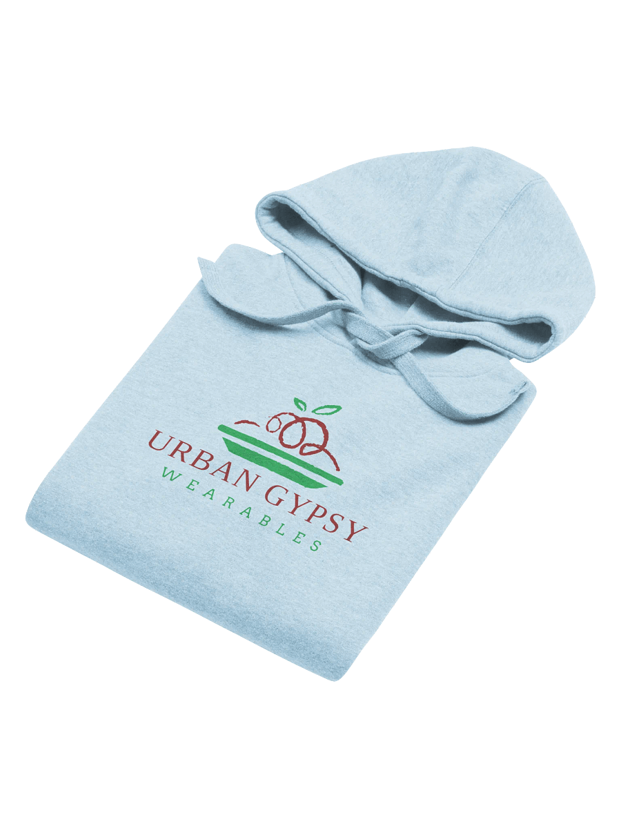 Urban Gypsy Apple on Plate Unisex Premium Hoodie product image (4)