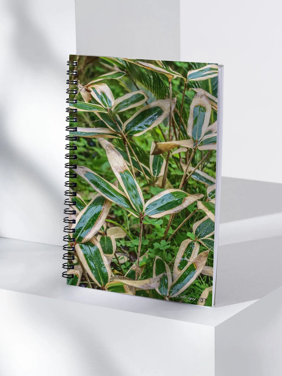 📘 Notebook Collection PURE – Jardin du Rayol – Bambou nain panaché product image (4)