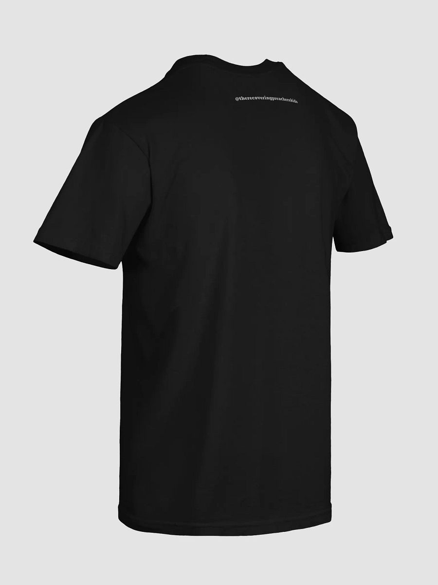 Patriotic Chickens Tee product image (94)