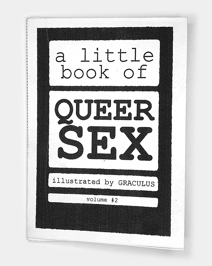 A Little Book of Queer S*x: Volume #2 product image (1)