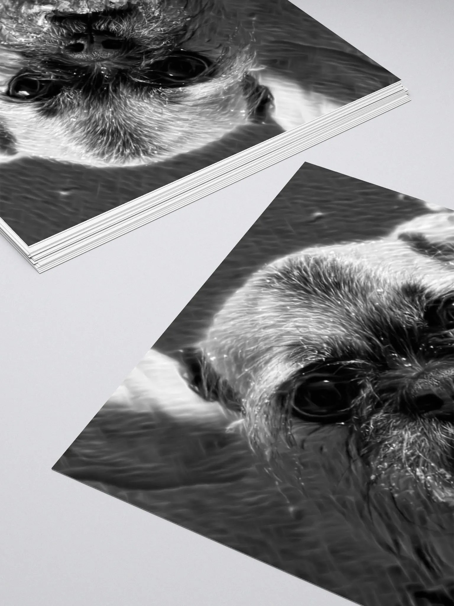 Snowy Gertrude Sticker product image (4)