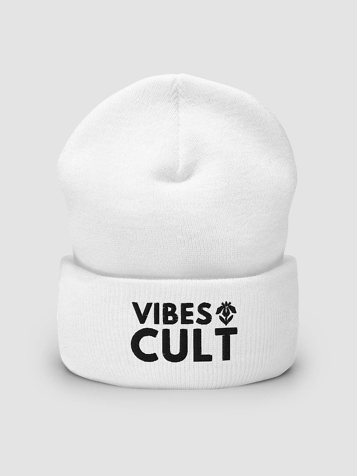 Embroidered Cuffed Beanie - VIBES CULT product image (1)