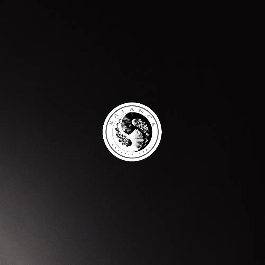 Yin-Yang Jellyfish Die-Cut Magnets product image (3)