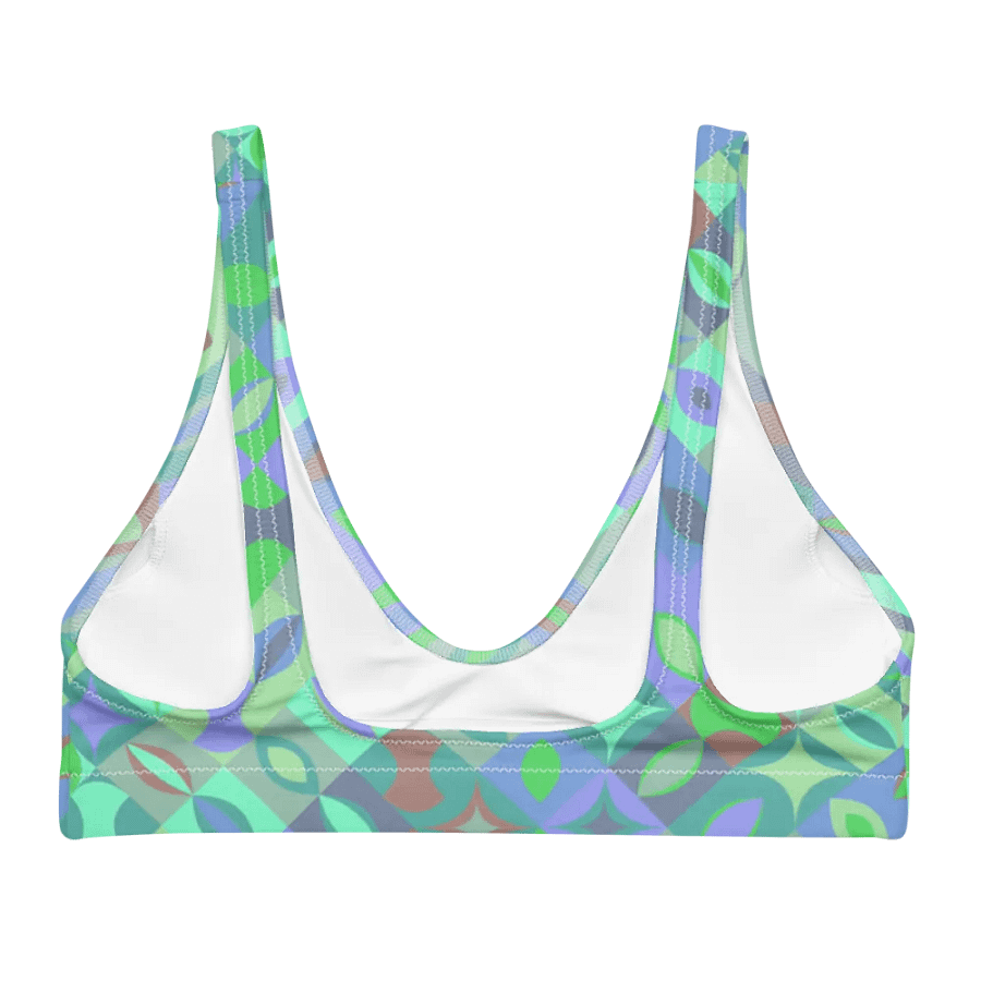 Colorful Vector Patterns Design Padded Bikini Top - v12 product image (1)