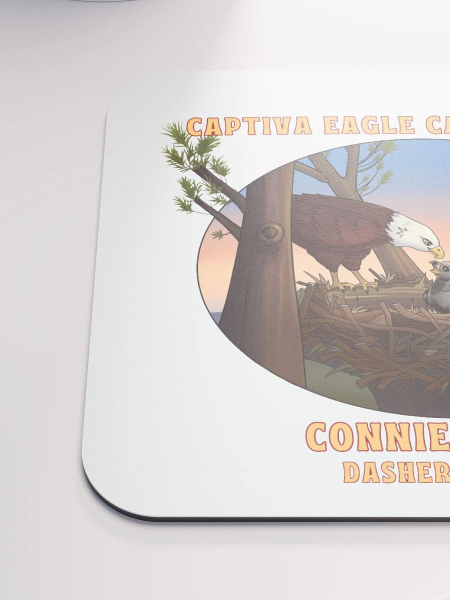 Art | Mouse Pad | Captiva Eagle Cam 2024-2025 product image (5)