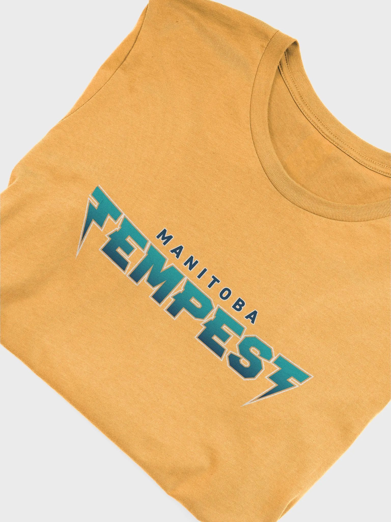 Tempest Dodgeball Club T-Shirt (Sapphire) product image (5)