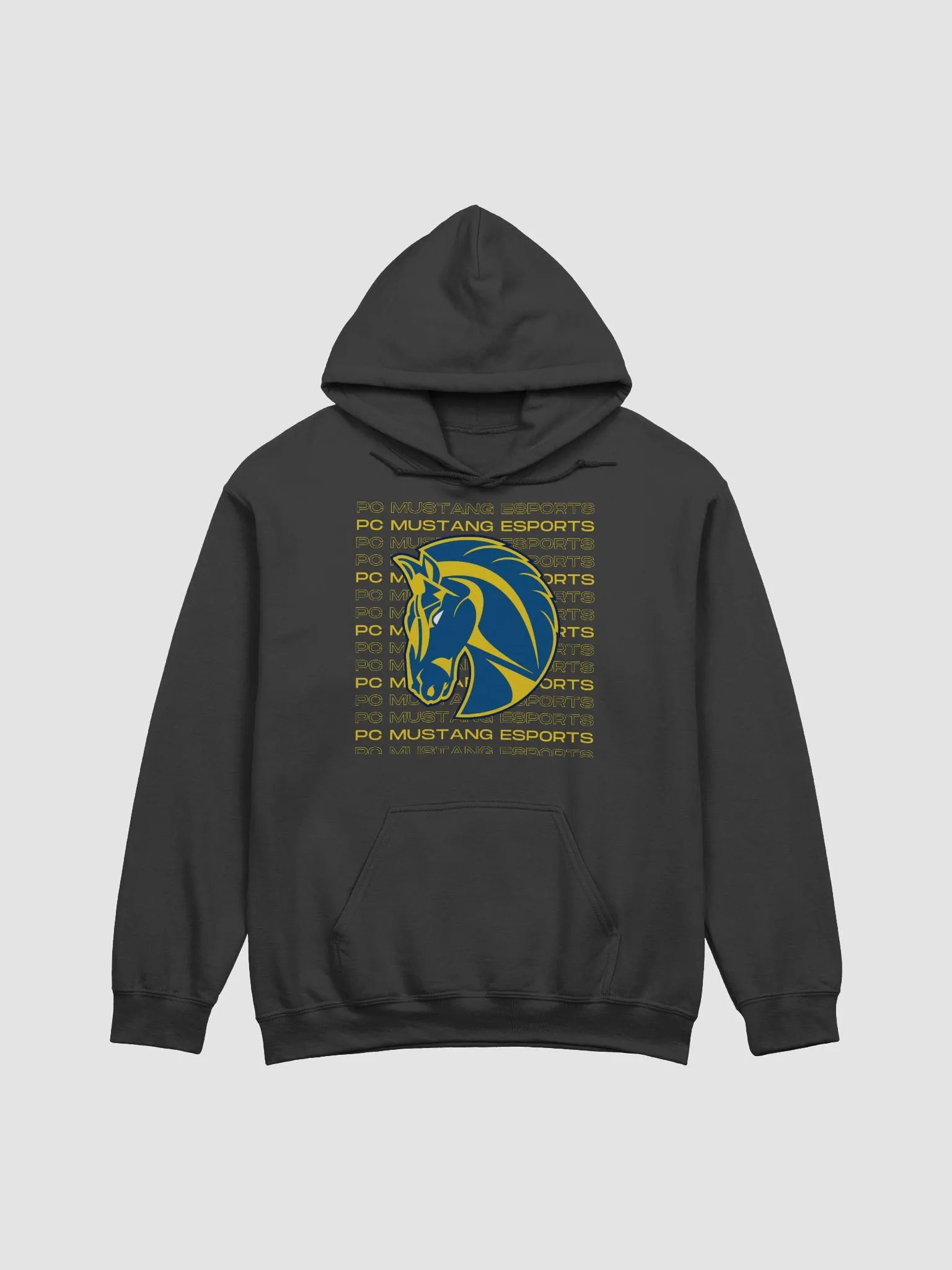 PC Hoodie 3 product image (1)