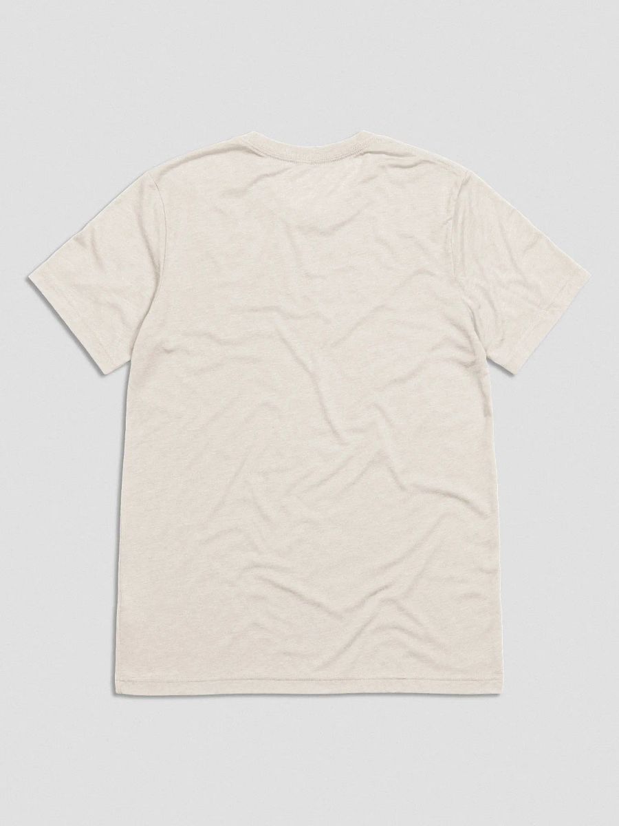 Retro Rose T-Shirt (Triblend) product image (3)