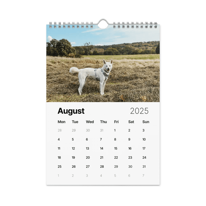 Eli's Favorite 2025 Calendar product image (2)
