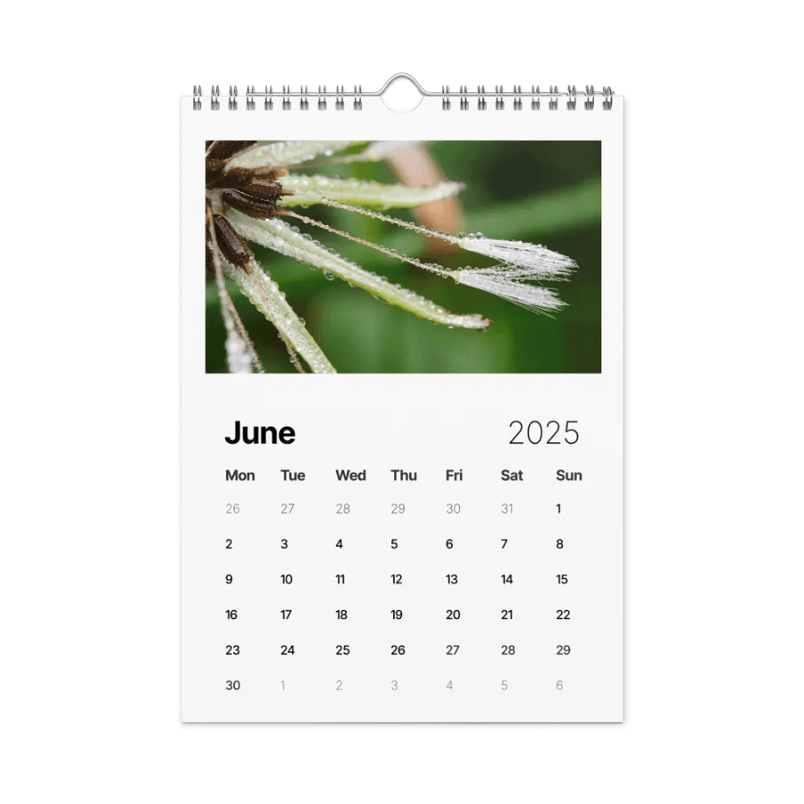 Ephemeral Dandelions 2025 Wall Calendar product image (7)
