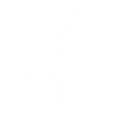 mikeyxmurder store